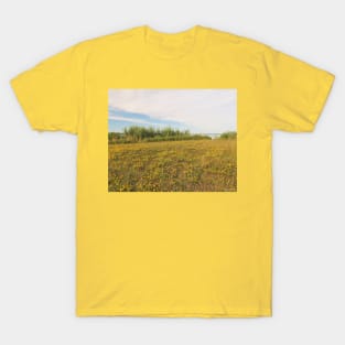 Yellow Grassland No.2 T-Shirt